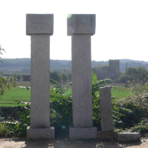 Columna 2
