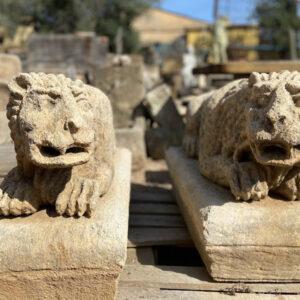 Leones