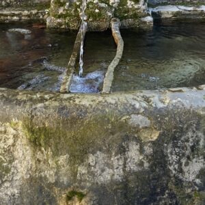 Fuente de Piedra Natural