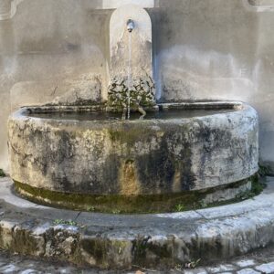 Fuente de Piedra Natural