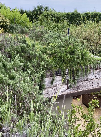 Jardinera - Traviesas de Tren Vieja